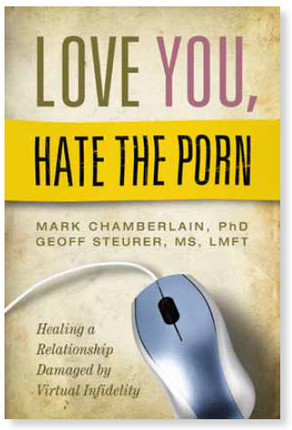 Love You Hate the Porn